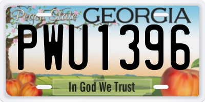 GA license plate PWU1396