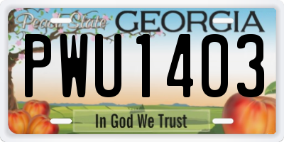 GA license plate PWU1403