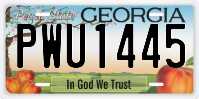 GA license plate PWU1445