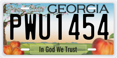 GA license plate PWU1454