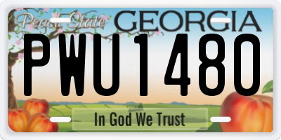GA license plate PWU1480