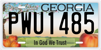 GA license plate PWU1485