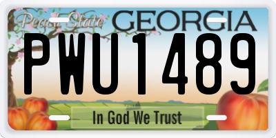 GA license plate PWU1489