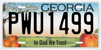 GA license plate PWU1499