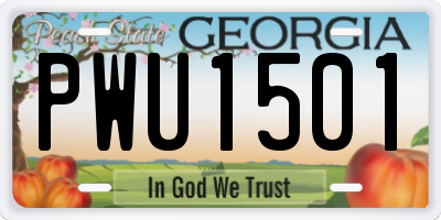 GA license plate PWU1501