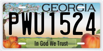 GA license plate PWU1524
