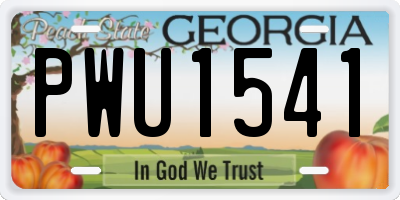 GA license plate PWU1541