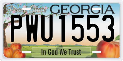 GA license plate PWU1553