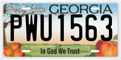GA license plate PWU1563