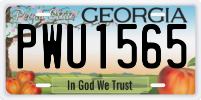 GA license plate PWU1565