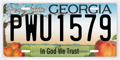 GA license plate PWU1579