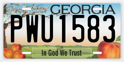 GA license plate PWU1583