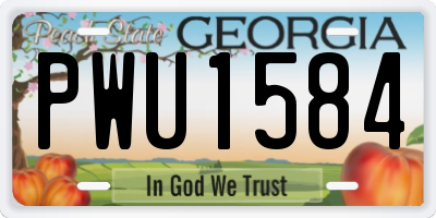 GA license plate PWU1584