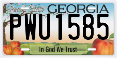 GA license plate PWU1585