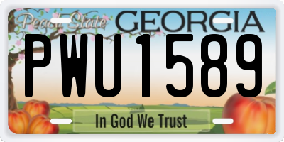 GA license plate PWU1589