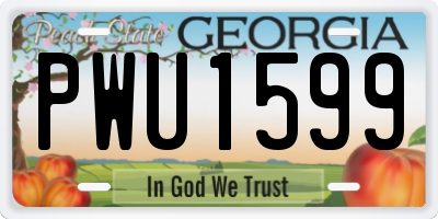 GA license plate PWU1599