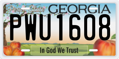 GA license plate PWU1608
