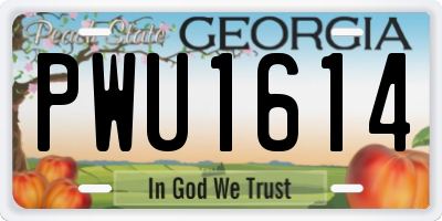 GA license plate PWU1614