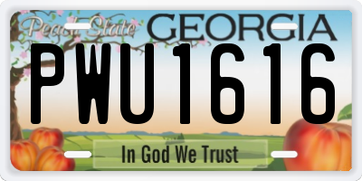 GA license plate PWU1616