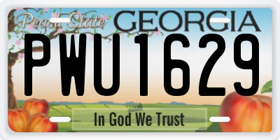 GA license plate PWU1629