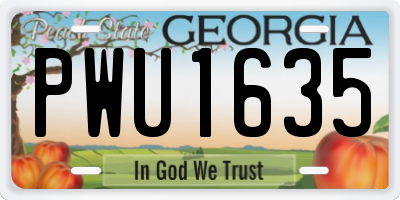 GA license plate PWU1635