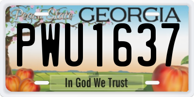 GA license plate PWU1637