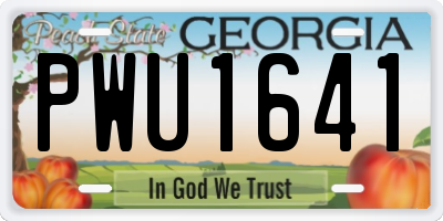 GA license plate PWU1641