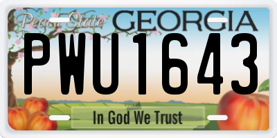 GA license plate PWU1643