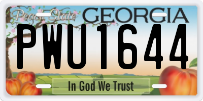 GA license plate PWU1644