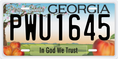 GA license plate PWU1645