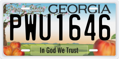 GA license plate PWU1646