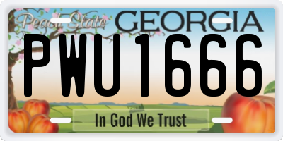 GA license plate PWU1666
