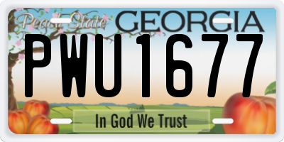 GA license plate PWU1677