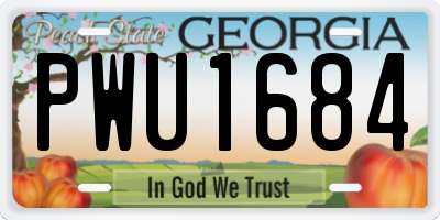 GA license plate PWU1684