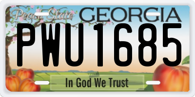 GA license plate PWU1685