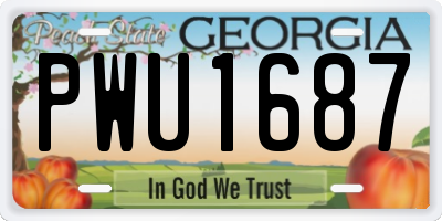 GA license plate PWU1687