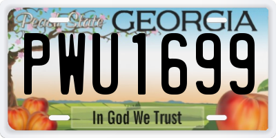 GA license plate PWU1699