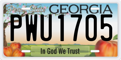 GA license plate PWU1705