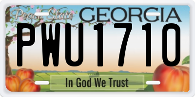 GA license plate PWU1710
