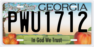 GA license plate PWU1712