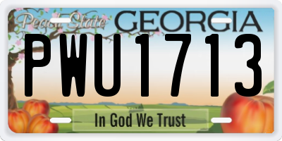 GA license plate PWU1713