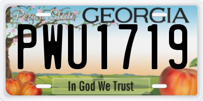GA license plate PWU1719