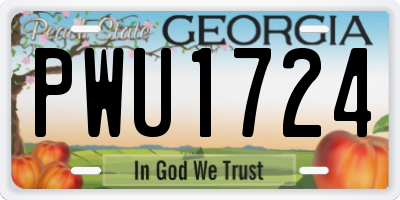 GA license plate PWU1724