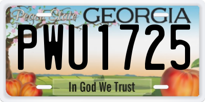 GA license plate PWU1725
