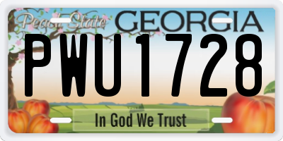 GA license plate PWU1728