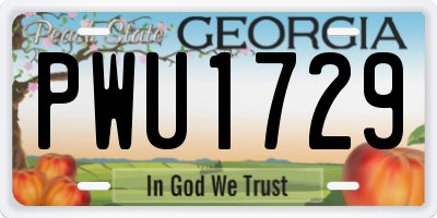 GA license plate PWU1729