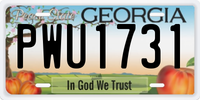 GA license plate PWU1731