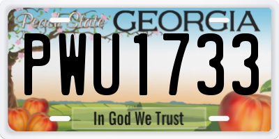 GA license plate PWU1733