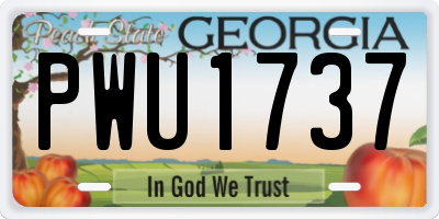 GA license plate PWU1737