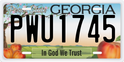 GA license plate PWU1745
